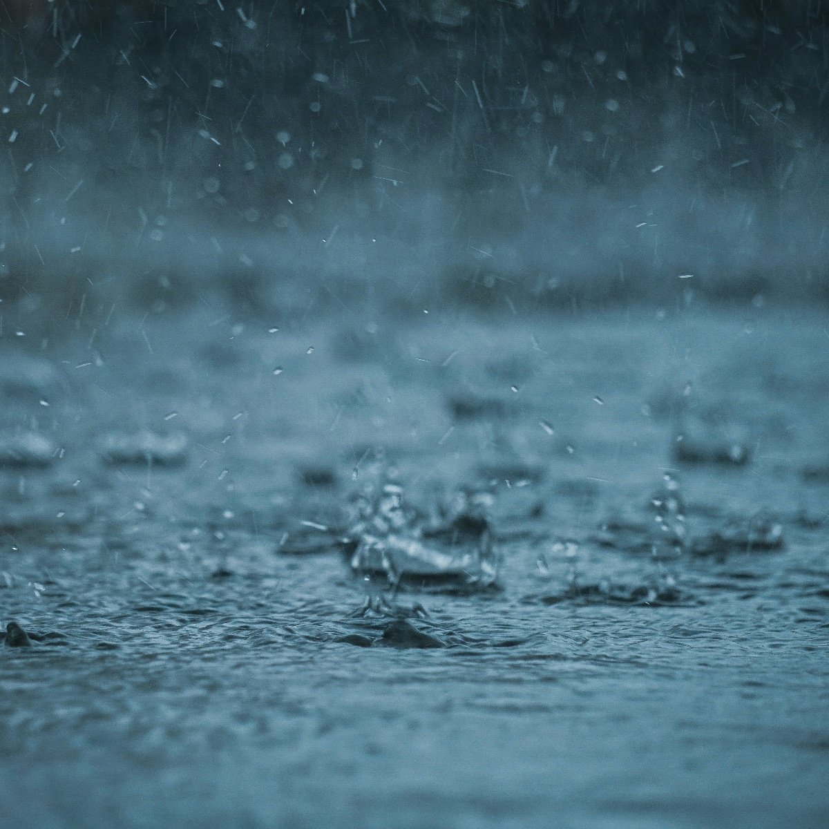 凌晨深圳湾公园大雨 Cover